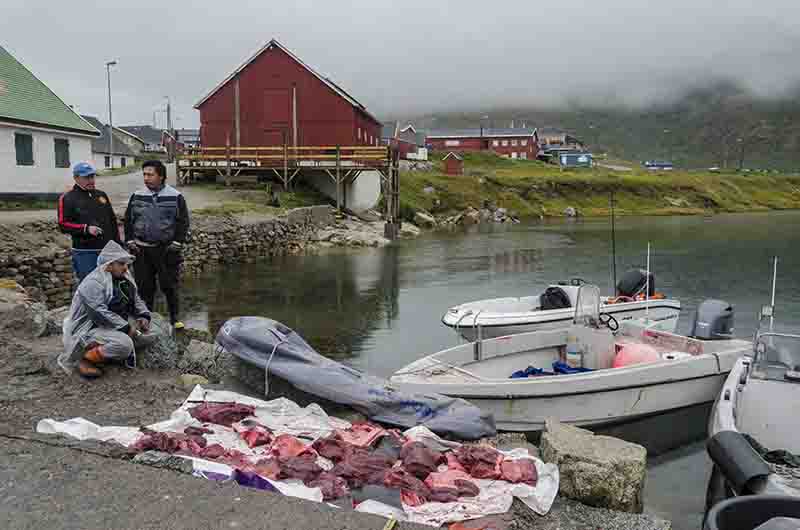 205 - Groenlandia - Narsaq - puerto y punto de venta de la pesca local - hoy ballena